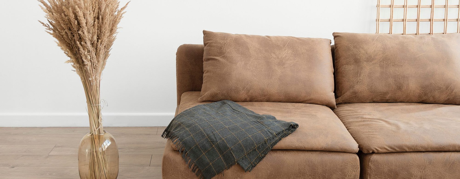a living room with a couch and a plant