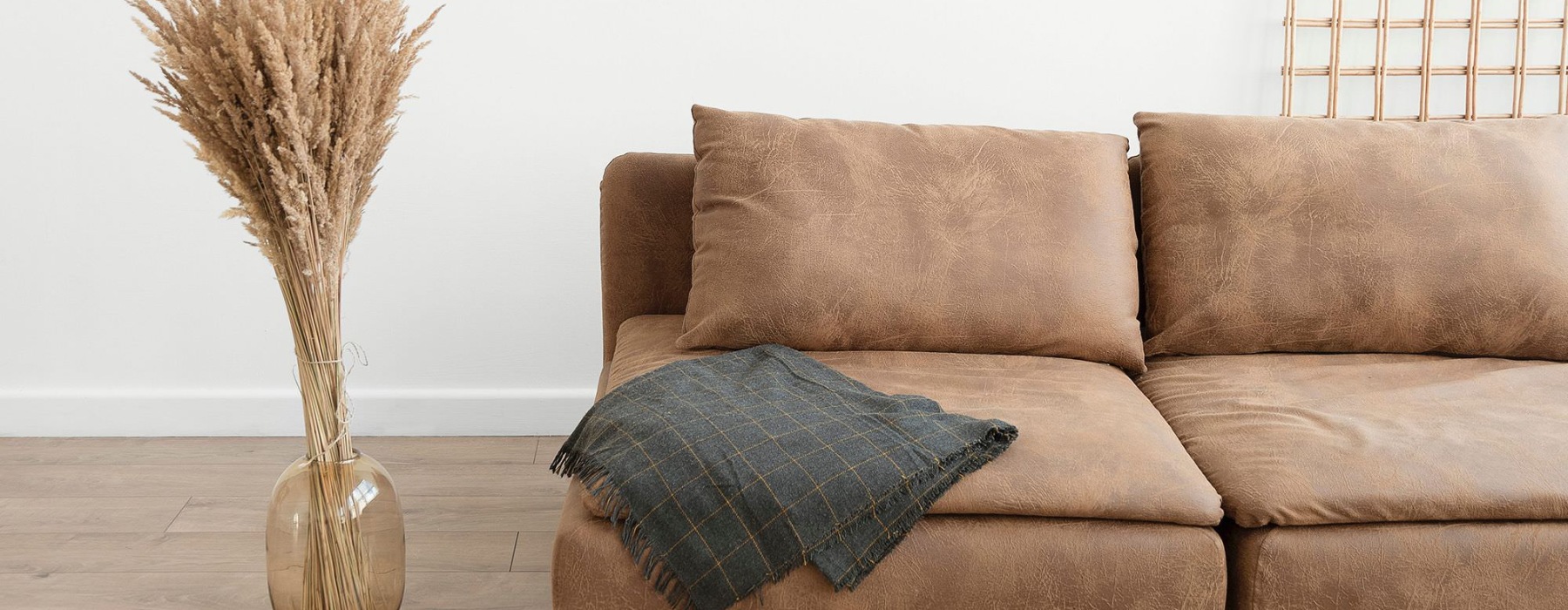 a living room with a couch and a plant
